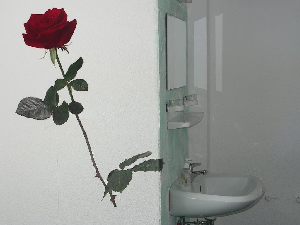 Hotel Sternen Lenzkirch Bilik gambar
